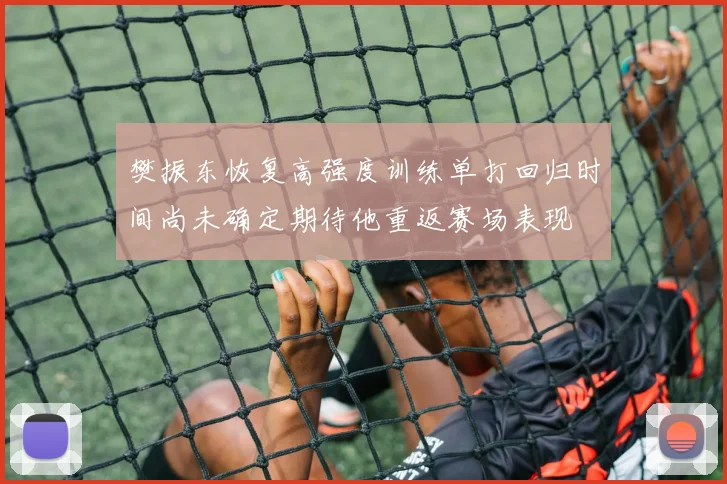 樊振东恢复高强度训练单打回归时间尚未确定期待他重返赛场表现