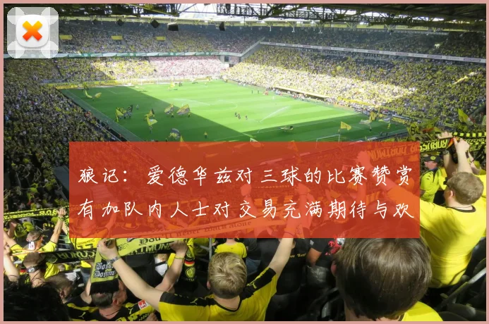 狼记：爱德华兹对三球的比赛赞赏有加队内人士对交易充满期待与欢欣